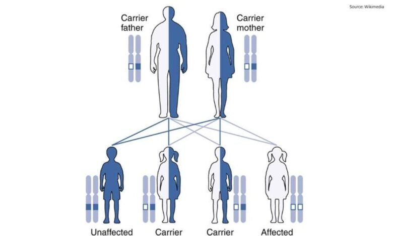 Autosomal Recessive pattern