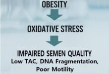 obesity and semen quality