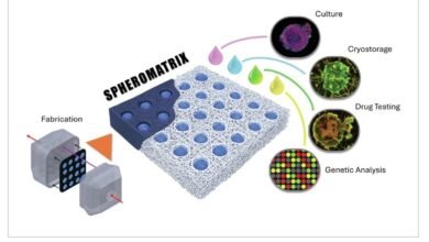 Spheromatrix for cancer drug testing