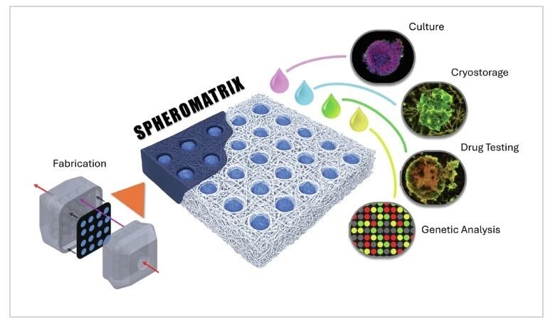 Spheromatrix for cancer drug testing