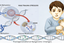 Epigenetic signatures of violence