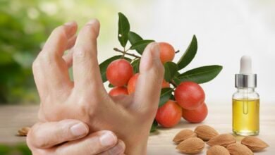 Ximenia caffra role in Rheumatoid Arthritis