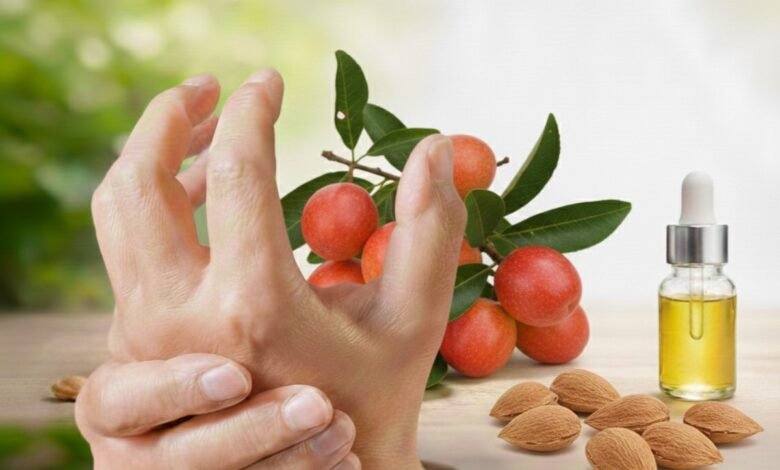 Ximenia caffra role in Rheumatoid Arthritis