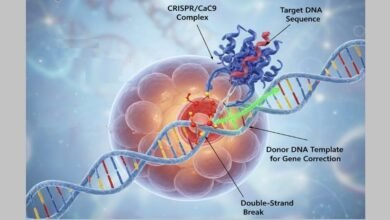 crispr human gene editing