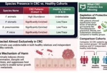 Fecal microbiota and Colorectal Cancer in Saudi Arabia