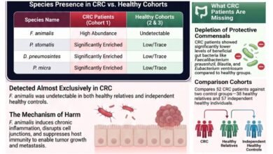 Fecal microbiota and Colorectal Cancer in Saudi Arabia
