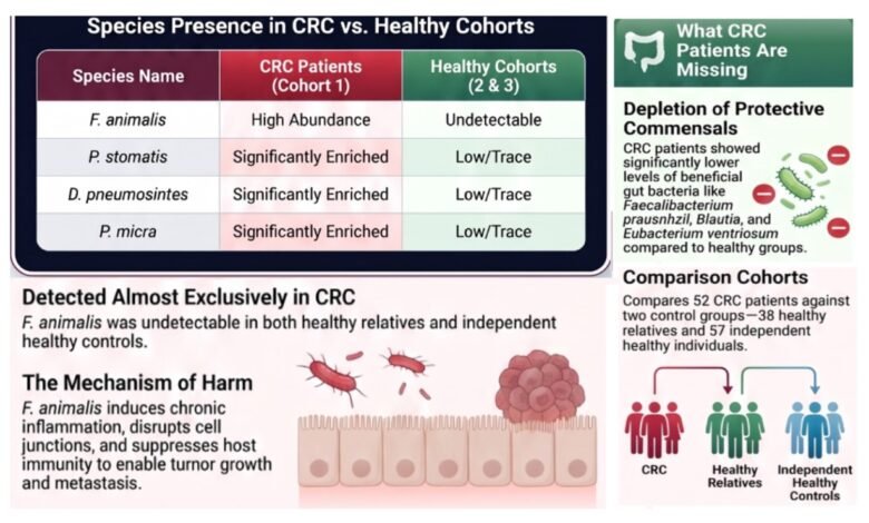 Fecal microbiota and Colorectal Cancer in Saudi Arabia